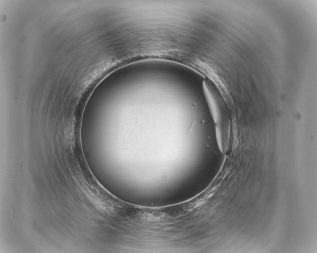 X0000086970346200704161549