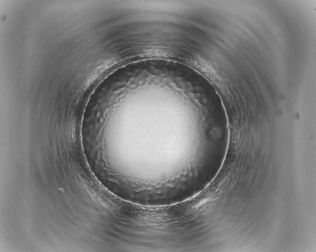 X0000086970347200704161549