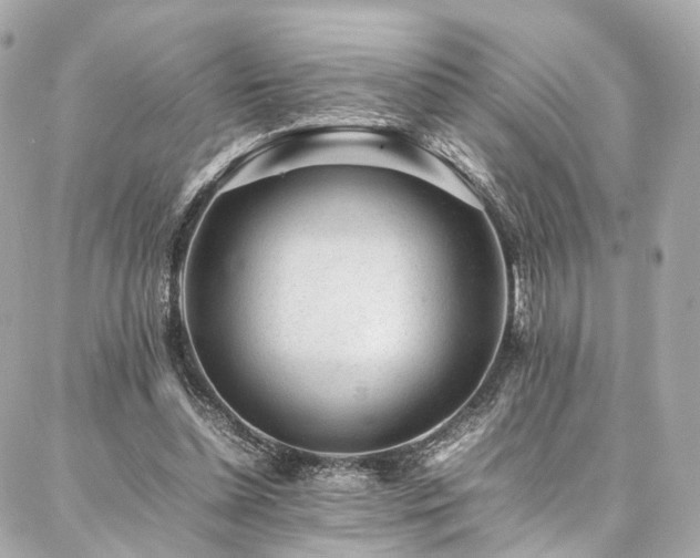 X0000086970348200704161549