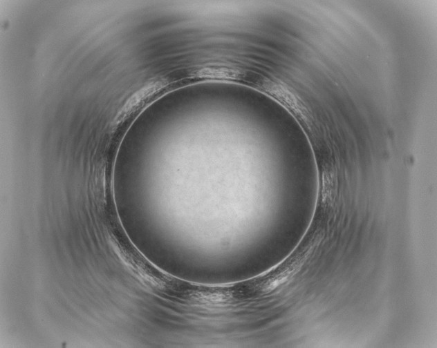 X0000086970349200704161549