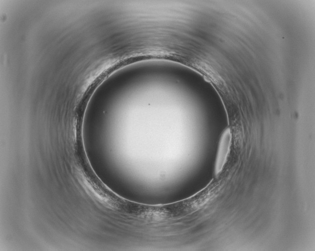 X0000086970350200704161549