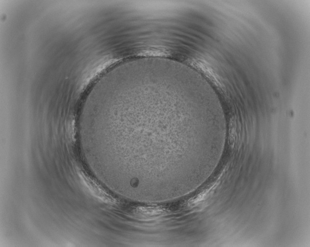 X0000086970351200704161549