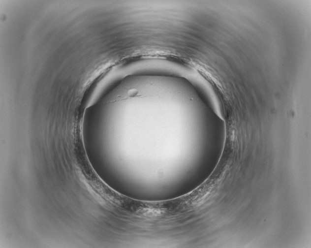 X0000086970352200704161549