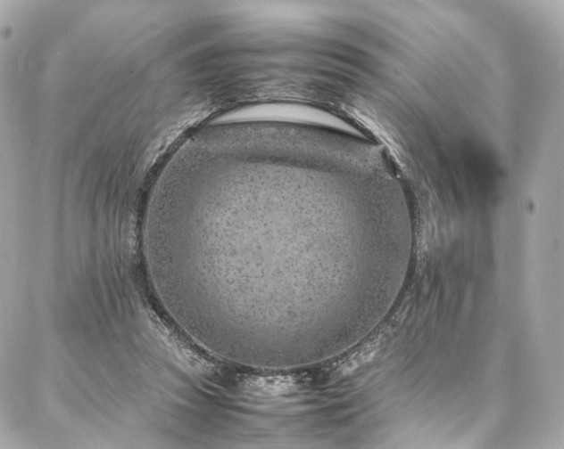 X0000086970353200704161549