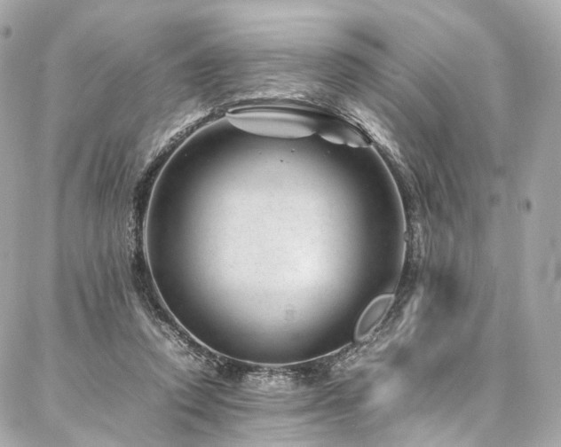 X0000086970354200704161549