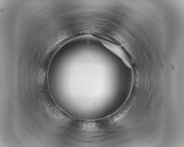 X0000086970355200704161549