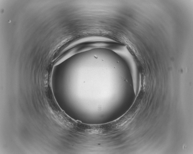 X0000086970356200704161549