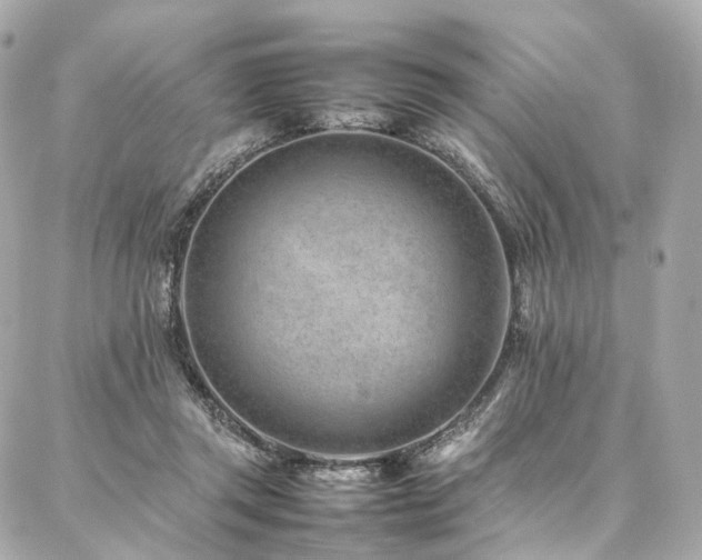 X0000086970357200704161549