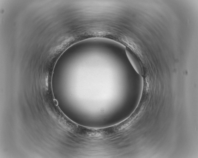 X0000086970358200704161549