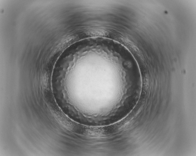 X0000086970359200704161549