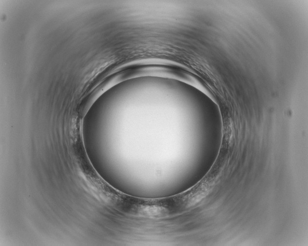 X0000086970360200704161549