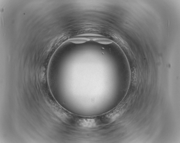 X0000086970361200704161549