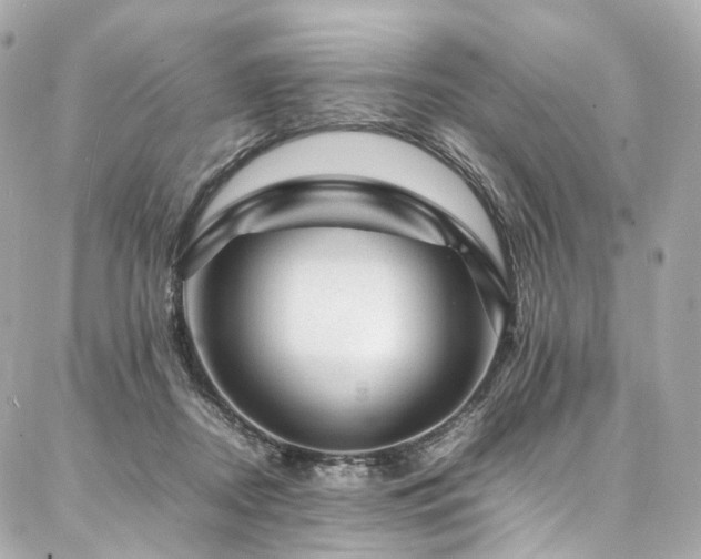 X0000086970362200704161549