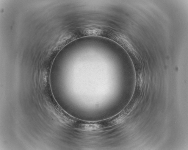 X0000086970363200704161549