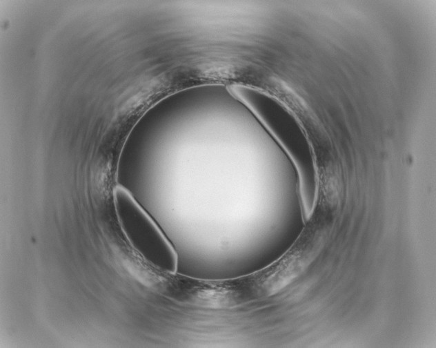 X0000086970364200704161549