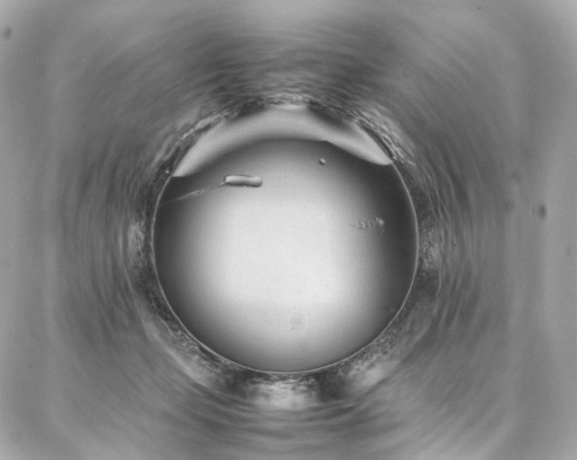 X0000086970365200704161549