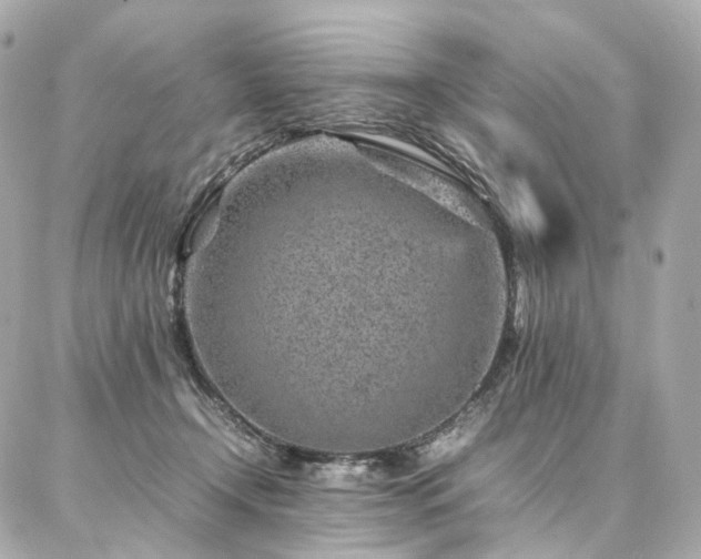 X0000086970366200704161549