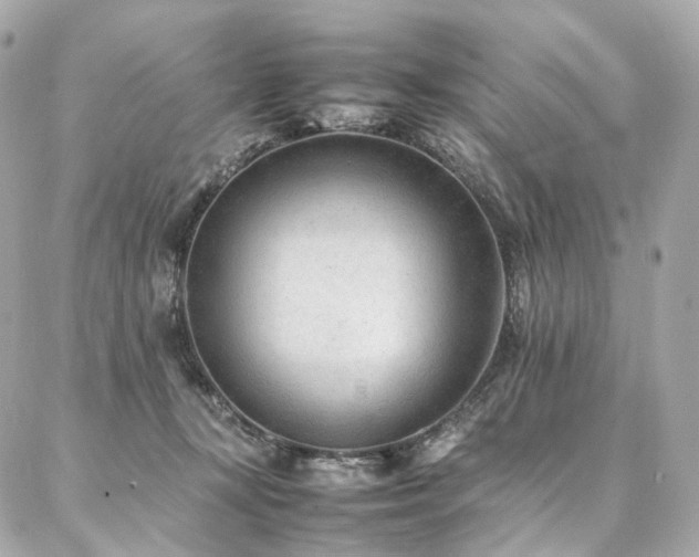 X0000086970367200704161549