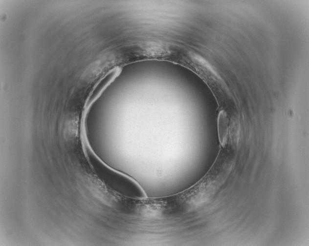 X0000086970368200704161549