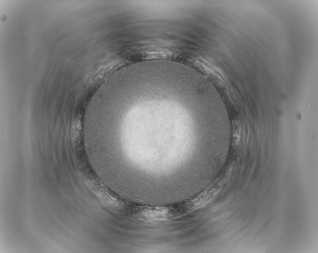 X0000086970369200704161549