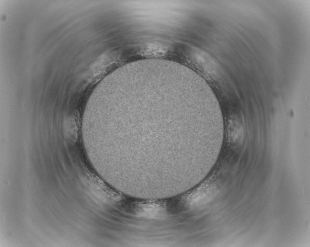 X0000086970370200704161549