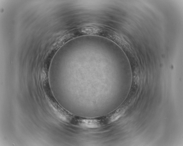 X0000086970371200704161549