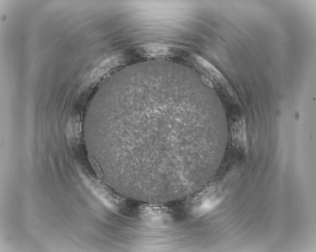 X0000086970372200704161549