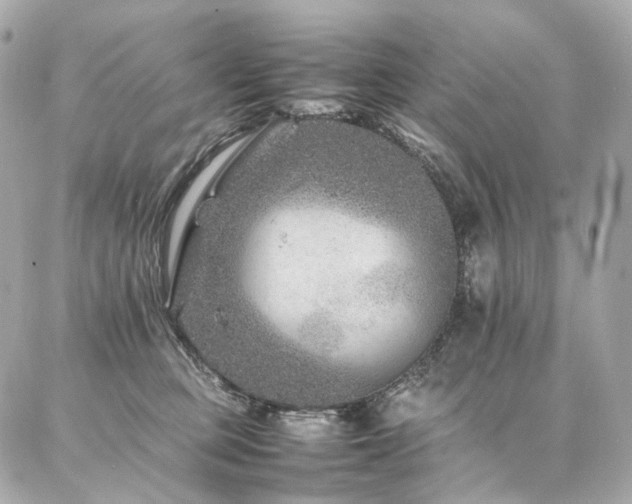 X0000086970373200704161549