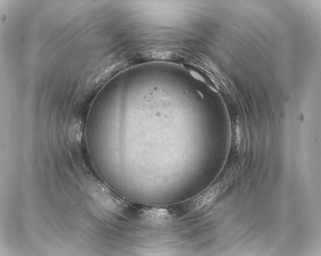 X0000086970374200704161549