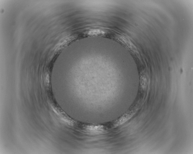 X0000086970375200704161549