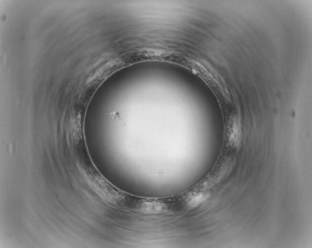 X0000086970376200704161549