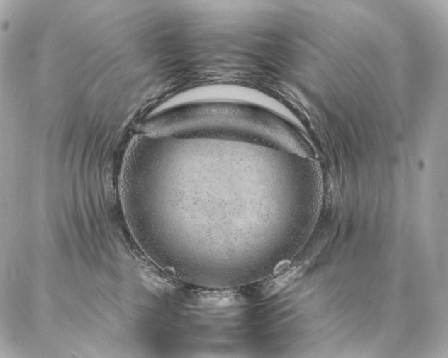 X0000086970377200704161549