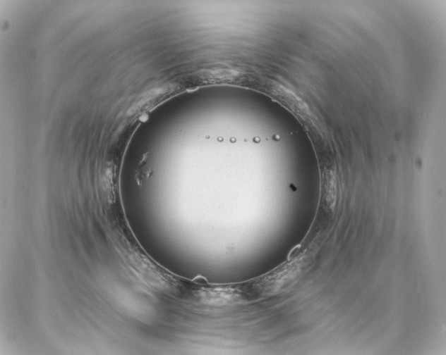 X0000086970378200704161549