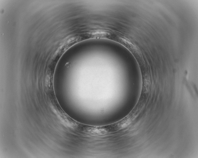 X0000086970379200704161549