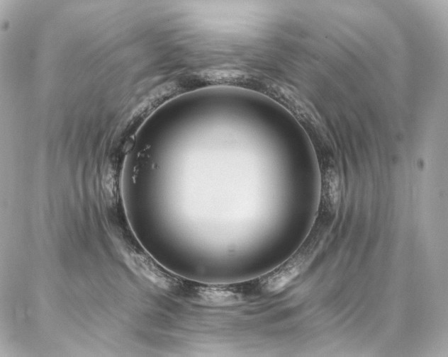 X0000086970380200704161549