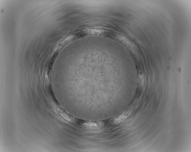 X0000086970381200704161549