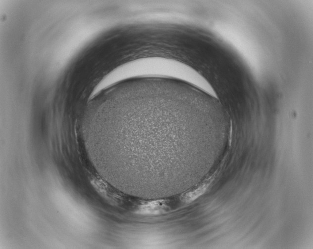 X0000086970382200704161549