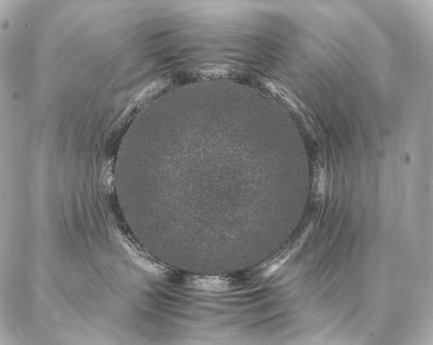 X0000086970383200704161549