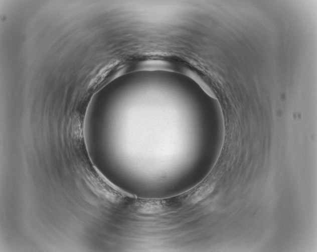 X0000086970384200704161549