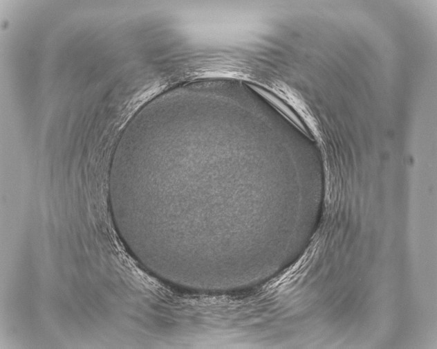 X0000086970385200704161549