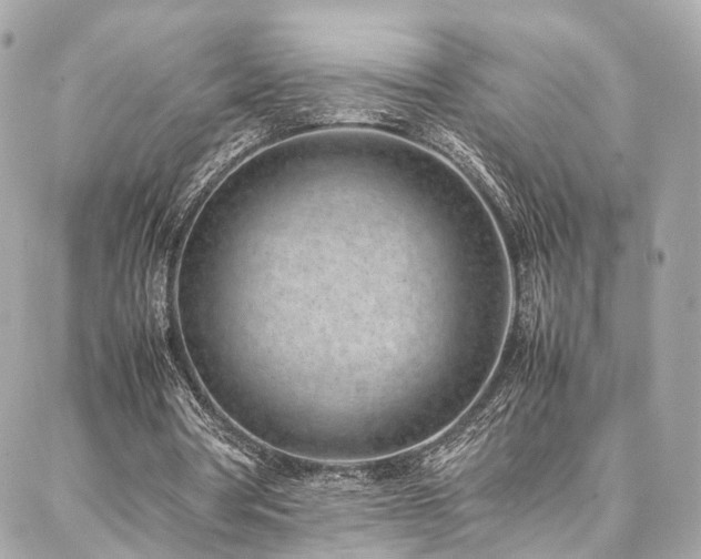 X0000086970386200704161549