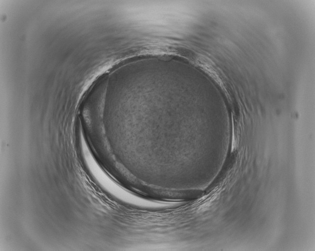 X0000086970387200704161549