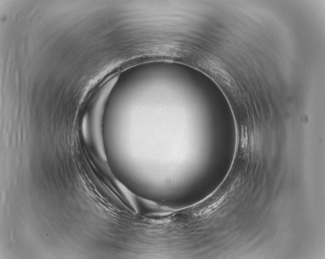 X0000086970388200704161549