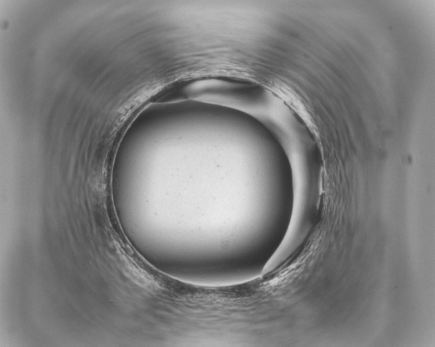 X0000086970389200704161549