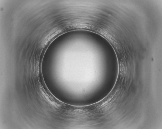 X0000086970390200704161549