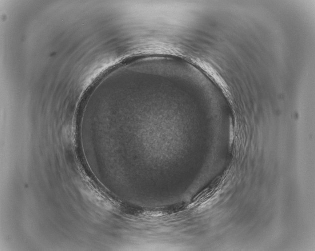 X0000086970391200704161549