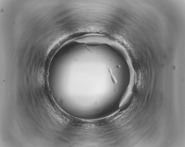 X0000086970392200704161549