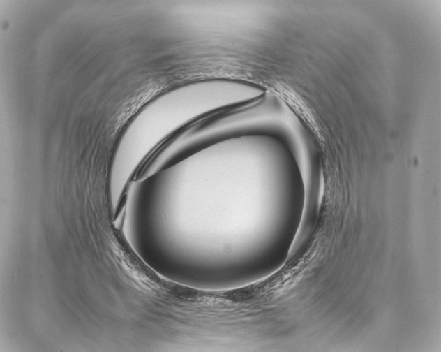 X0000086970393200704161549