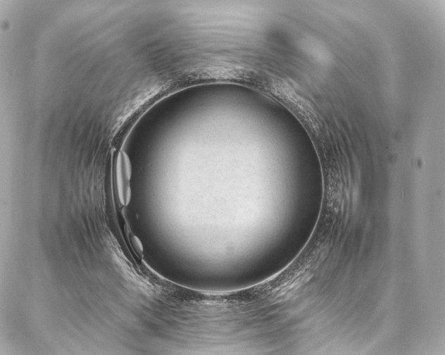 X0000086970394200704161549