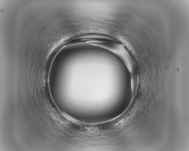 X0000086970395200704161549